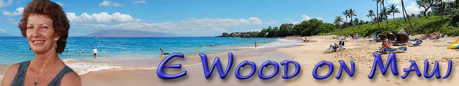 E Wood on Maui header graphic.